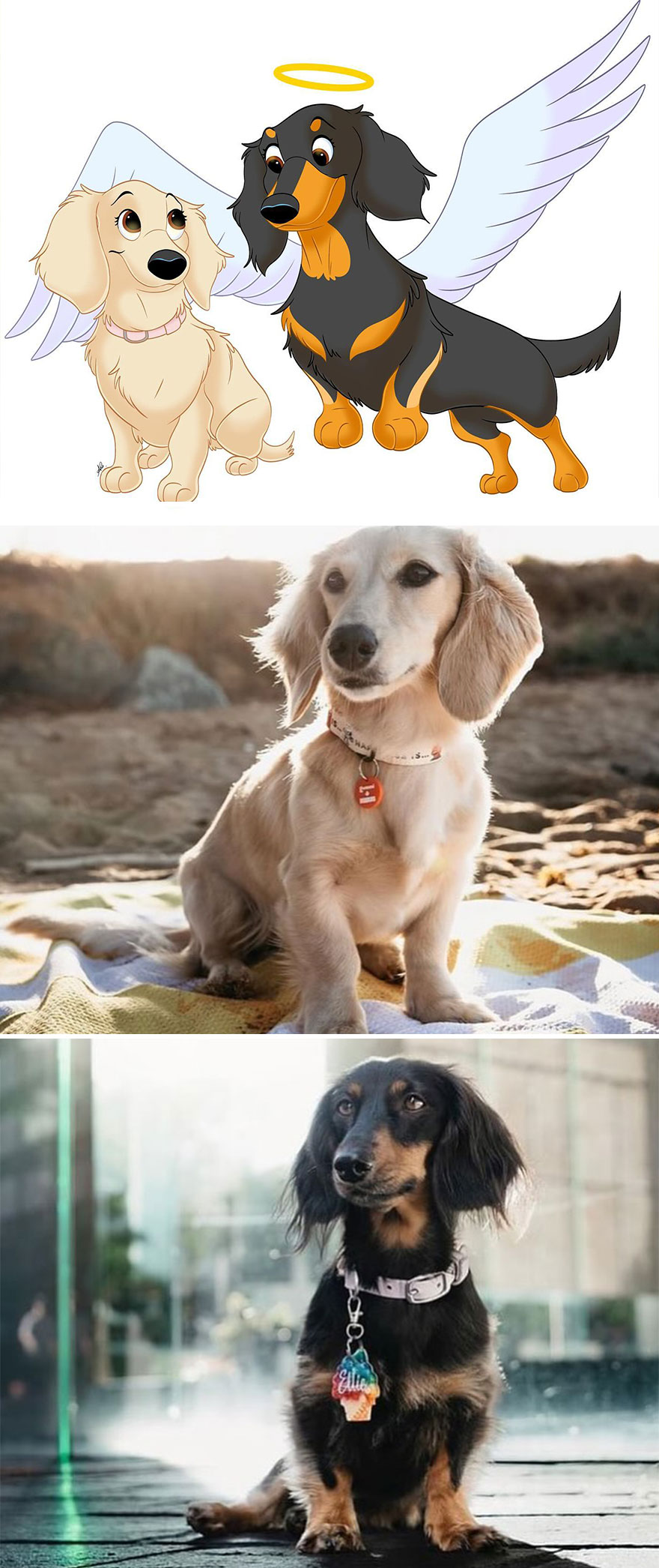 An Illustrator Turns Your Pet's Photos Into Magical Disney-Like Creations (22 New Pics)