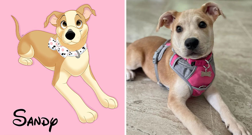 An Illustrator Turns Your Pet's Photos Into Magical Disney-Like Creations (22 New Pics)
