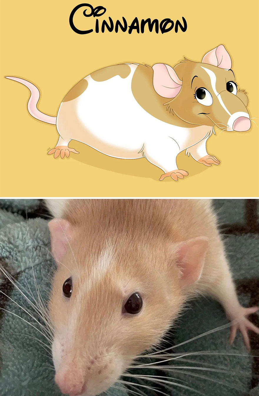 An Illustrator Turns Your Pet's Photos Into Magical Disney-Like Creations (22 New Pics)