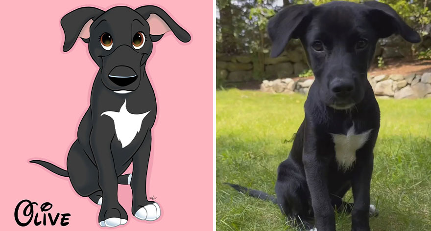 An Illustrator Turns Your Pet's Photos Into Magical Disney-Like Creations (22 New Pics)