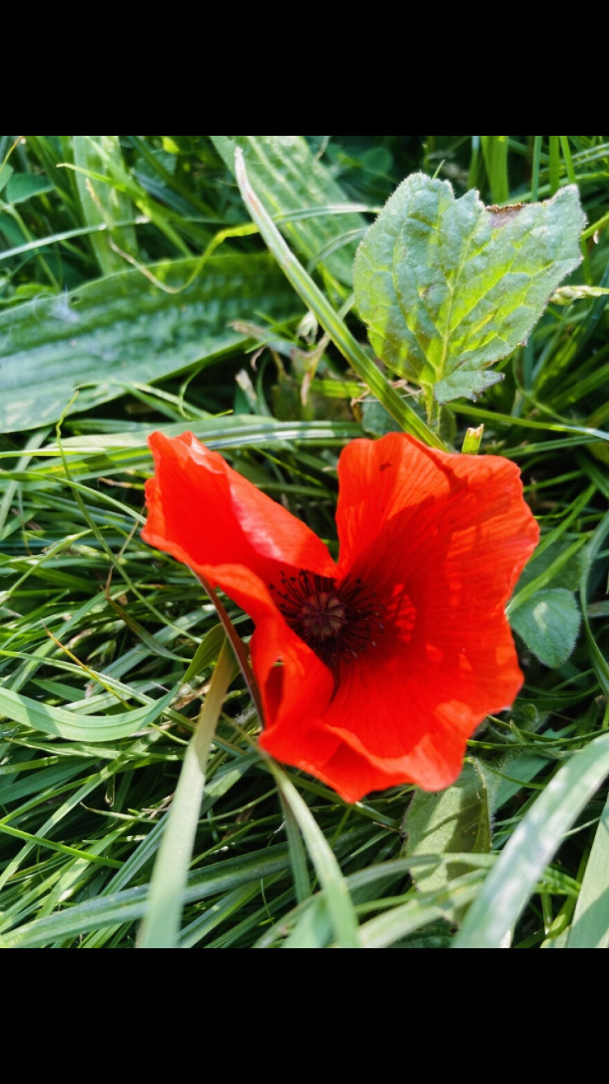 My Phone Photography Tips (33 Pics) My Phone Photography Tips (33 Pics)