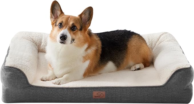 Corgi lying on a cozy dog bed, showcasing Black Friday dog bed deals. Corgi lying on a cozy dog bed, showcasing Black Friday dog bed deals.