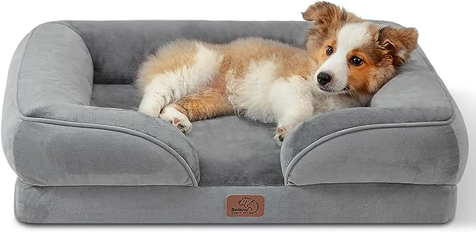Cute dog resting on a grey dog bed, showcasing Black Friday dog bed deals. Cute dog resting on a grey dog bed, showcasing Black Friday dog bed deals.