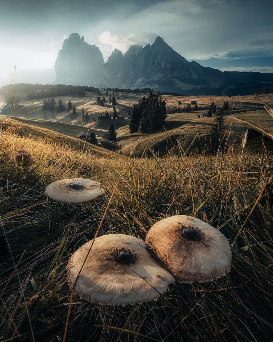 Alpe Di Siusi, Italy