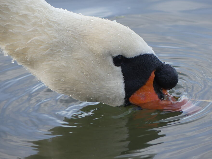 My Phone Photography Tips (33 Pics) My Phone Photography Tips (33 Pics)