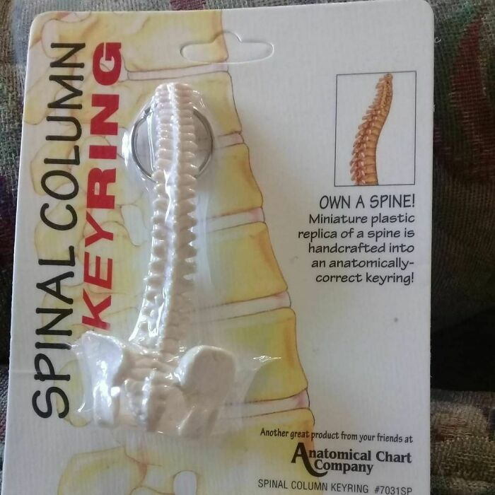 Weird-Second-Hand-Finds-Shifty-Thrifting