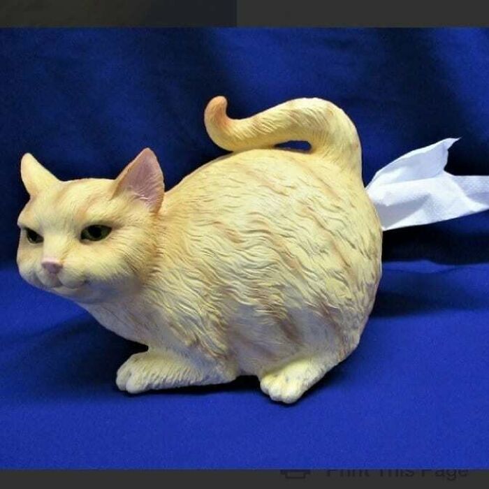 Ceramic cat-shaped tissue dispenser, a weird item donated to thrift stores featured on a popular IG page.