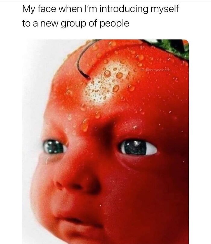 Funny-Shy-Introverts-Memes