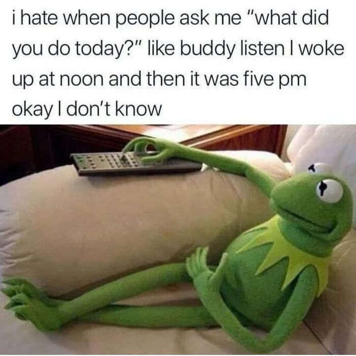 Kermit the Frog lying on a couch with a remote, caption about daily routine. Funny and relatable meme.