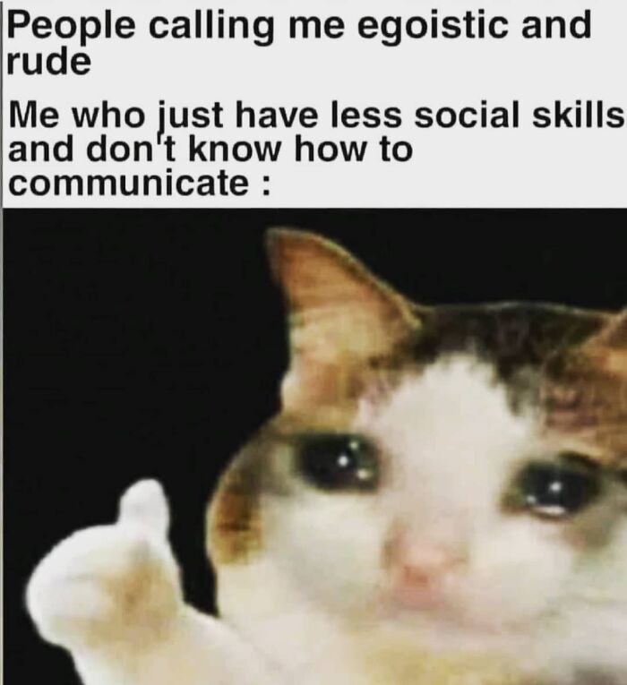 Funny-Shy-Introverts-Memes