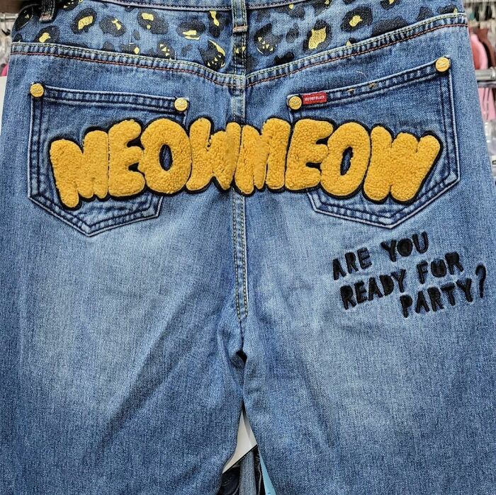 Weird-Second-Hand-Finds-Shifty-Thrifting