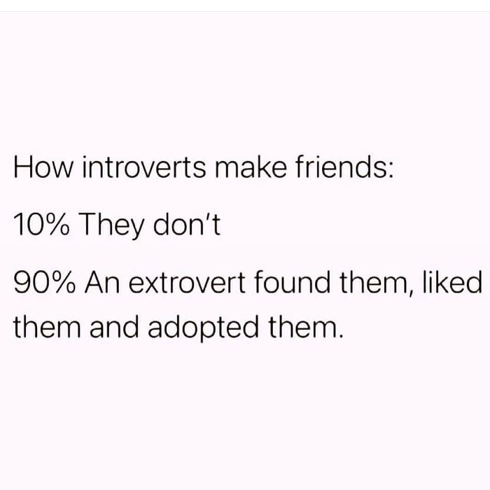 Text meme about introverts making friends, highlighting a common socially awkward experience.