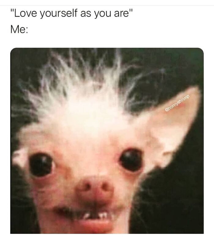 Funny-Shy-Introverts-Memes