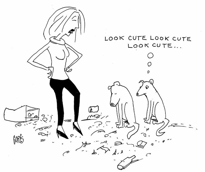 Cartoon by Dennis Goris showing a woman scolding two dogs with one dog thinking look cute in a messy room.