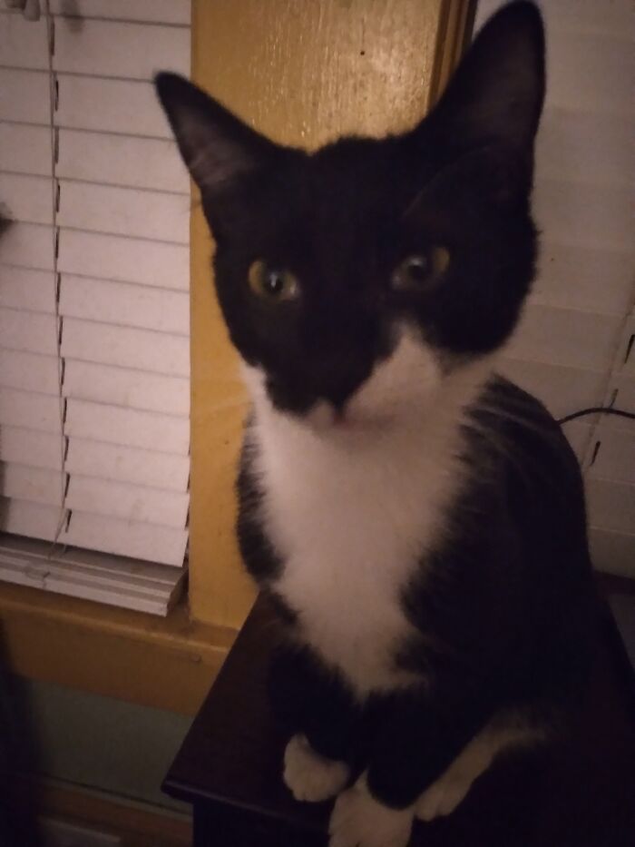 Chadwick, Showing His Attitude