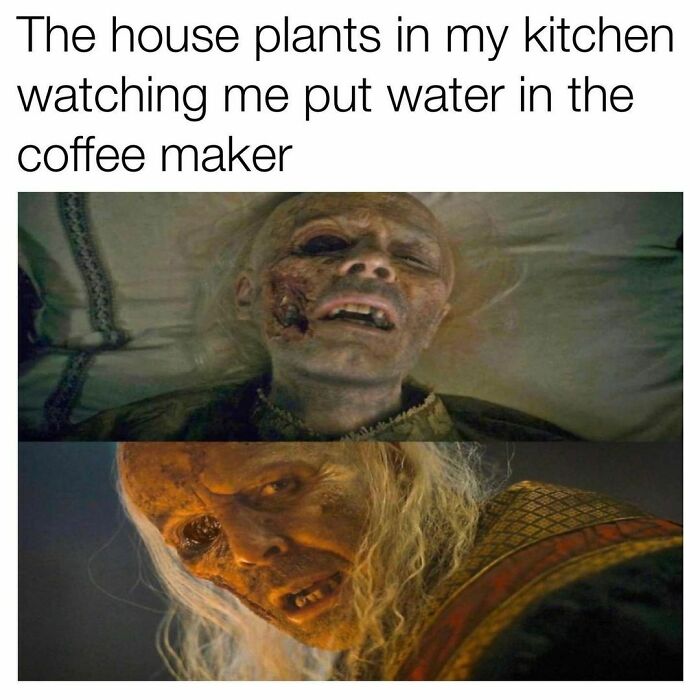 Funny-Random-Memes-Jokes