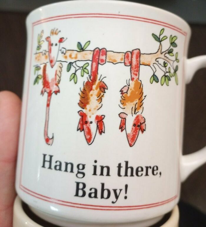 Weird-Second-Hand-Finds-Shifty-Thrifting