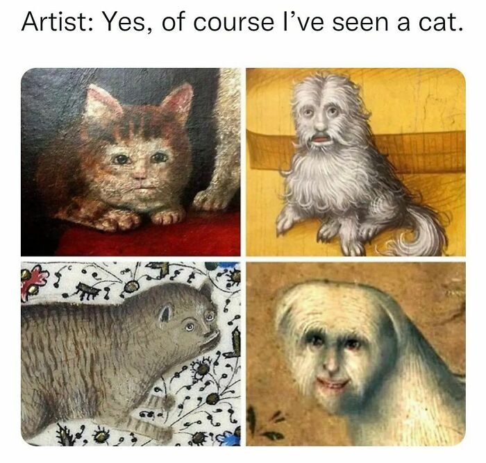 Funny-Random-Memes-Jokes