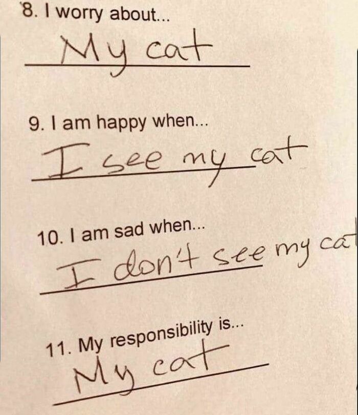 The-Odd-Cat-Sanctuary-Memes