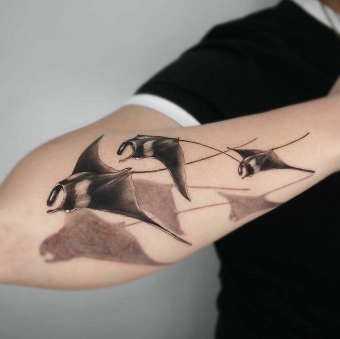 3D manta ray tattoo on forearm, illustrating advanced artistry in 3D tattoos.
