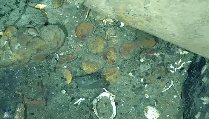 $20 Billion Colonial Bounty Found On Shipwreck Creates Global Dispute