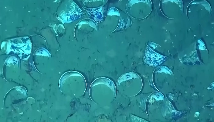 $20 Billion Colonial Bounty Found On Shipwreck Creates Global Dispute