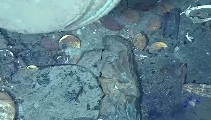 $20 Billion Colonial Bounty Found On Shipwreck Creates Global Dispute