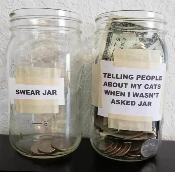 The-Odd-Cat-Sanctuary-Memes