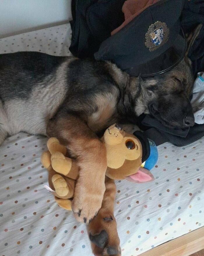 Expert Shows An Excellent Way Of How Our Police Officers Are Recovering From The Traffic Fights That Ended Yesterday