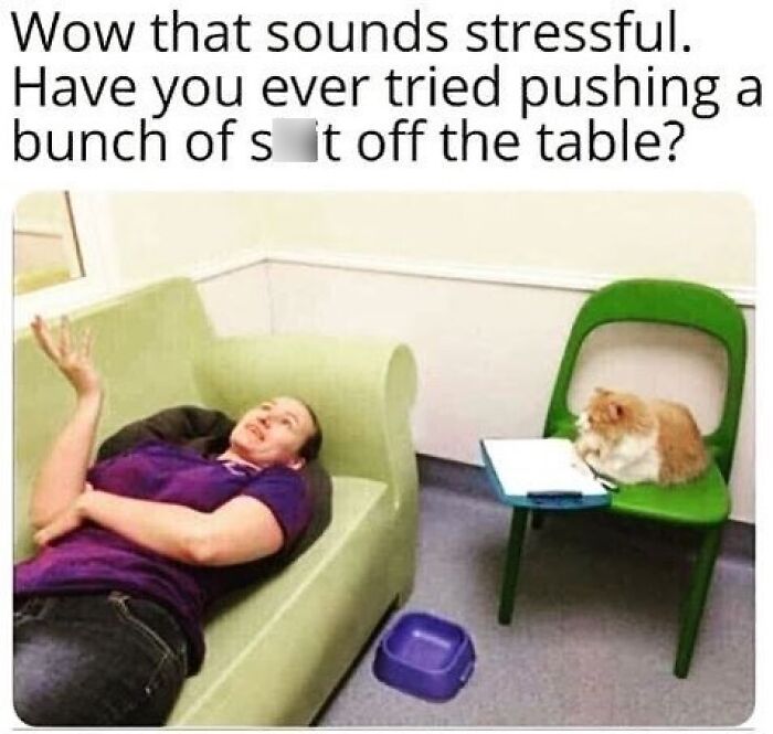 The-Odd-Cat-Sanctuary-Memes