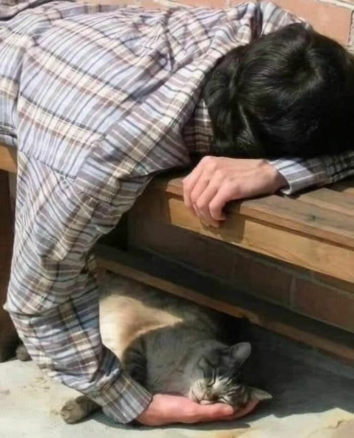 Cringe-Nonsense-Images