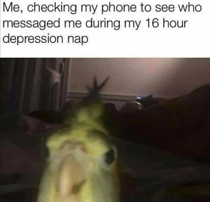 Mental-Health-Memes-Howmental