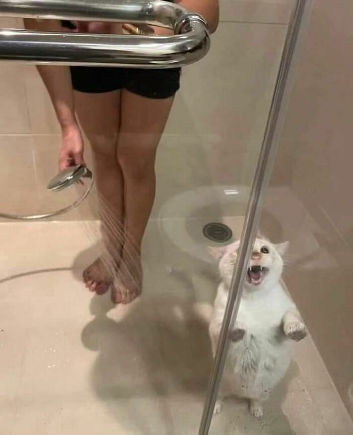 Cringe-Nonsense-Images