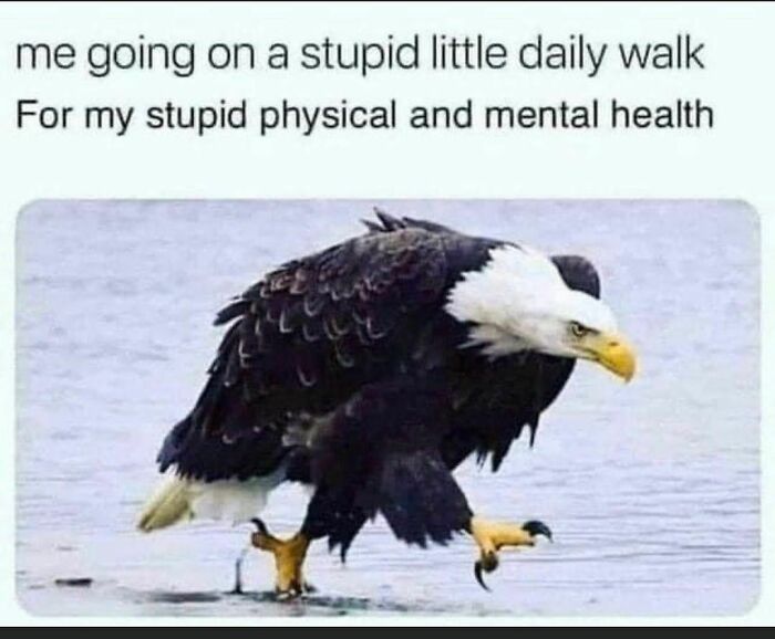 Mental-Health-Memes-Howmental