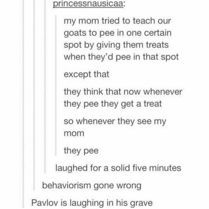 Antisocial-Butterfly-Memes-Jokes