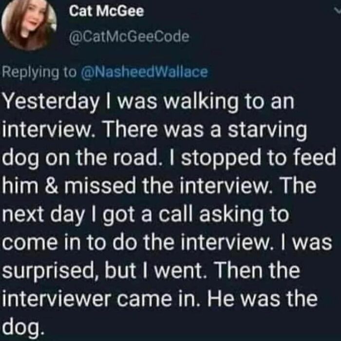 Antisocial-Butterfly-Memes-Jokes