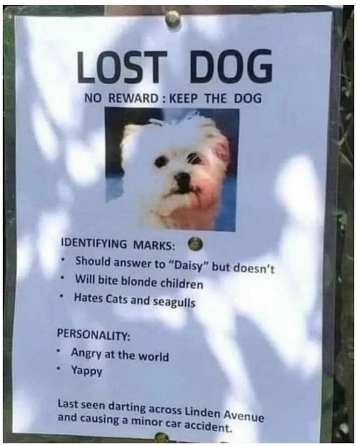 Antisocial-Butterfly-Memes-Jokes