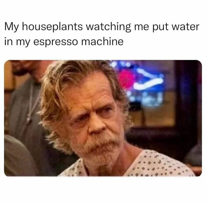 Man with confused expression in hospital gown, humorously representing houseplants watching espresso machine use in funny pics.