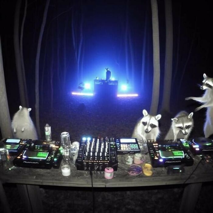 Funny-Weird-Ai-Images