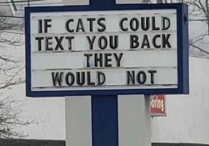 Funny and confusing roadside sign saying if cats could text back they would not, from unsettling pics collection