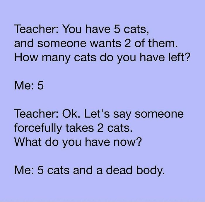 The-Odd-Cat-Sanctuary-Memes