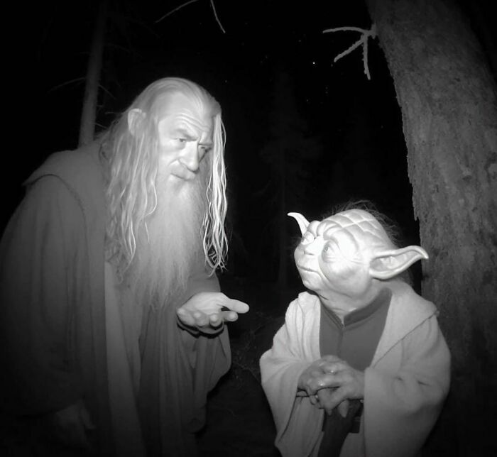 Cursed AI image of two fictional characters in a dark forest, one with long hair and the other with large ears.