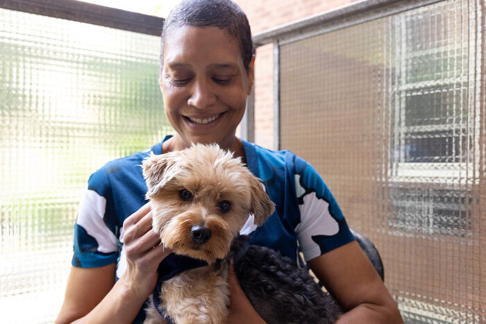 Volunteers Of Paws NY Help These People To Take Care Of Their Pets So That They Won&rsquo;t Get Separated