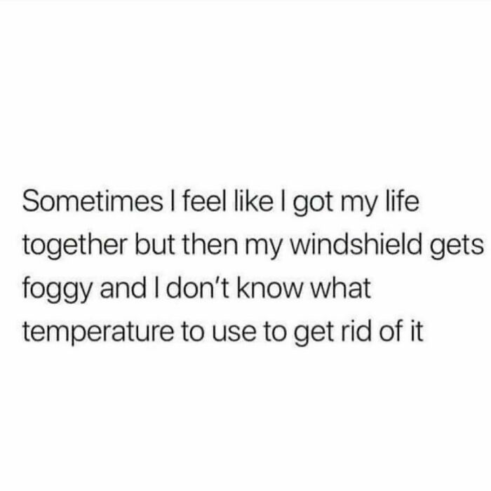 Memes-Laughing-Chicks