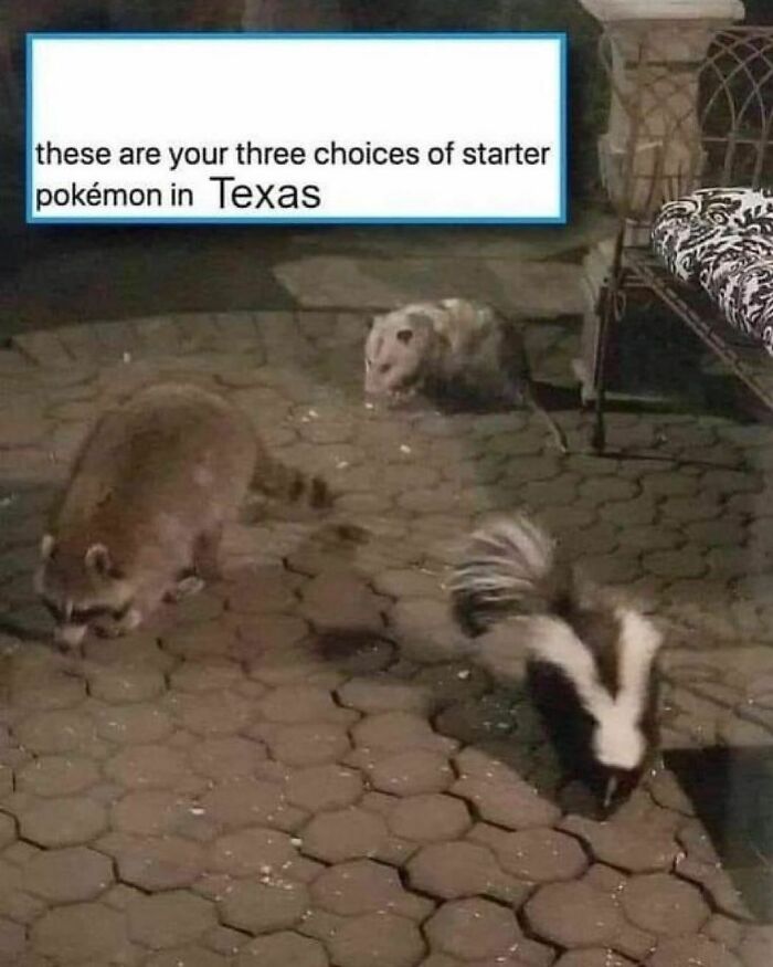 Funny-Random-Memes-Jokes