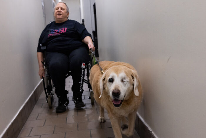 Volunteers Of Paws NY Help These People To Take Care Of Their Pets So That They Won&rsquo;t Get Separated