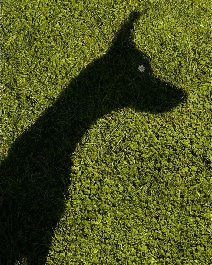 Decisive Moments Magazine Continues To Showcase Fascinating Moments Captured By Street Photographers (50 New Pics)