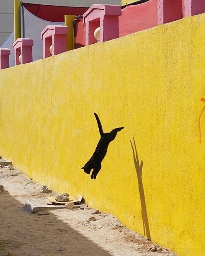 Decisive Moments Magazine Continues To Showcase Fascinating Moments Captured By Street Photographers (50 New Pics)