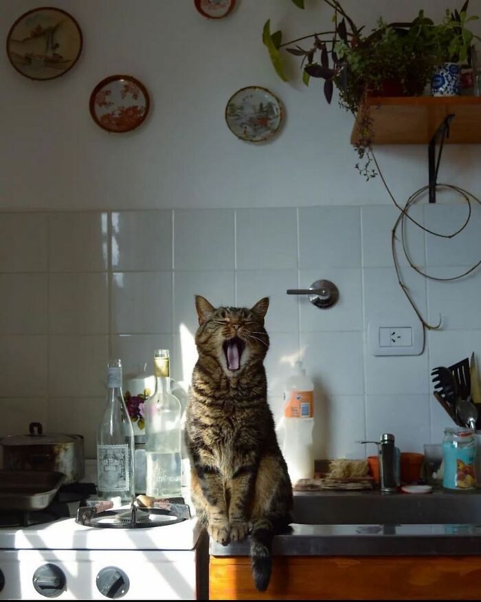 Decisive Moments Magazine Continues To Showcase Fascinating Moments Captured By Street Photographers (50 New Pics)