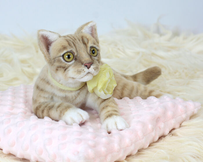 Discover The Magic: My Handcrafted Plush Kitten